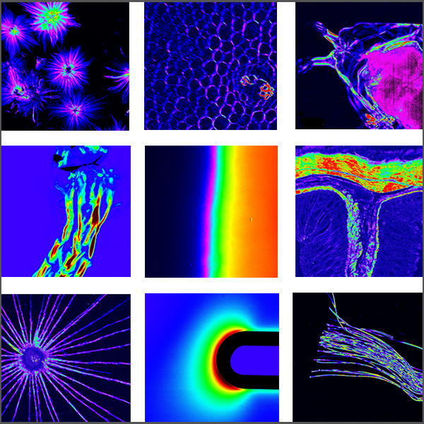 Exicor® Microimagertm - Hinds Instruments, Inc. (600x600), Png Download