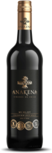 Anakena Birdman (330x550), Png Download