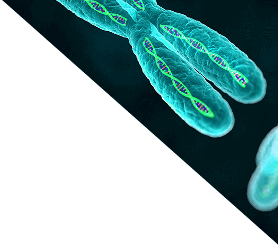 Momentum In Gene Therapy - Genetic Engineering: Concepts, Tools And Techniques (542x478), Png Download