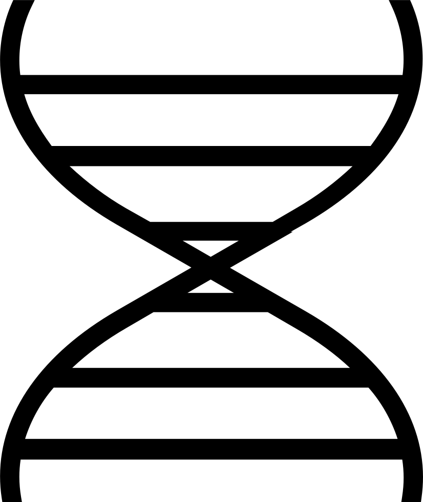 Gene Comments - Dna (826x980), Png Download