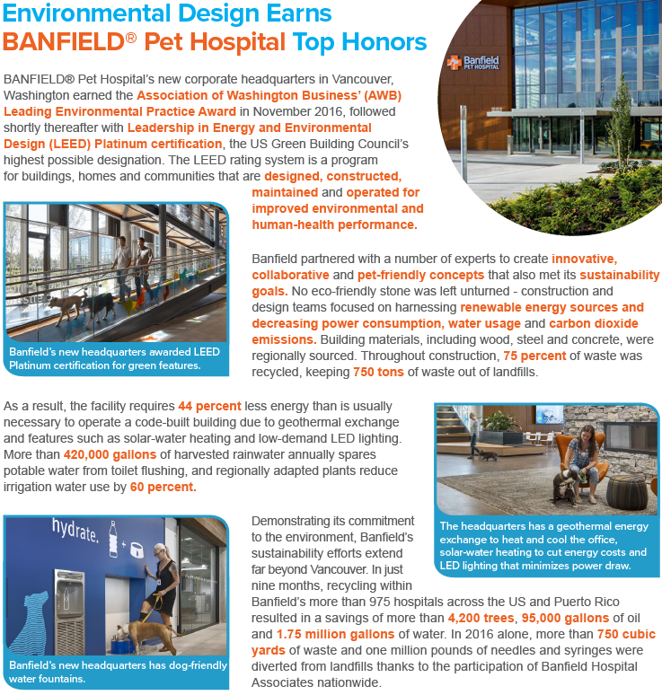 Art Layout - Sustainable Business (737x774), Png Download