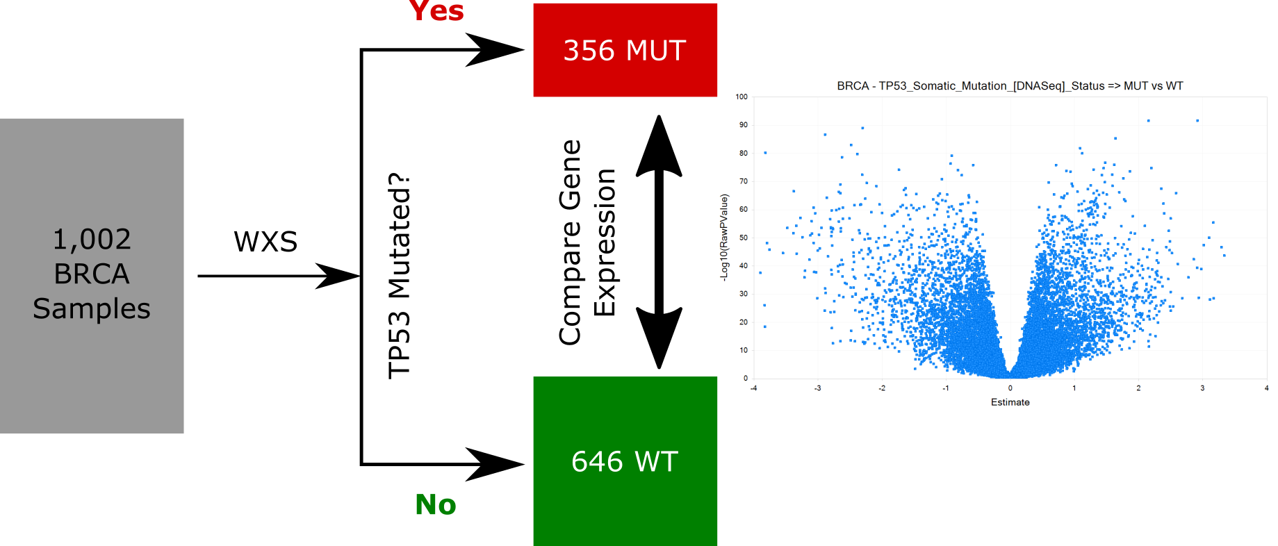 Brca Tp53 Comparison Schematic - Thumbnail (1839x786), Png Download