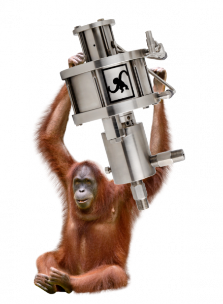 M50 Orangutan 439×600 - Orangutan On A White Background (439x600), Png Download