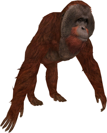 Orangutan - Orangutan Zt2 Download Library (463x463), Png Download