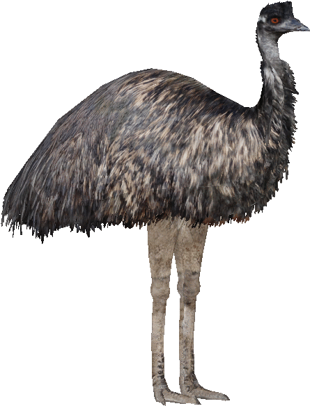 51, January 27, 2015 - Thumbnail (700x700), Png Download