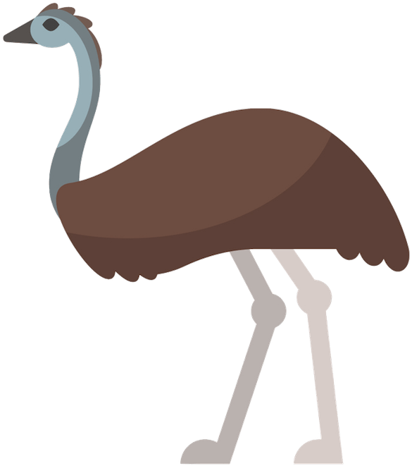 Emu Vector (600x689), Png Download
