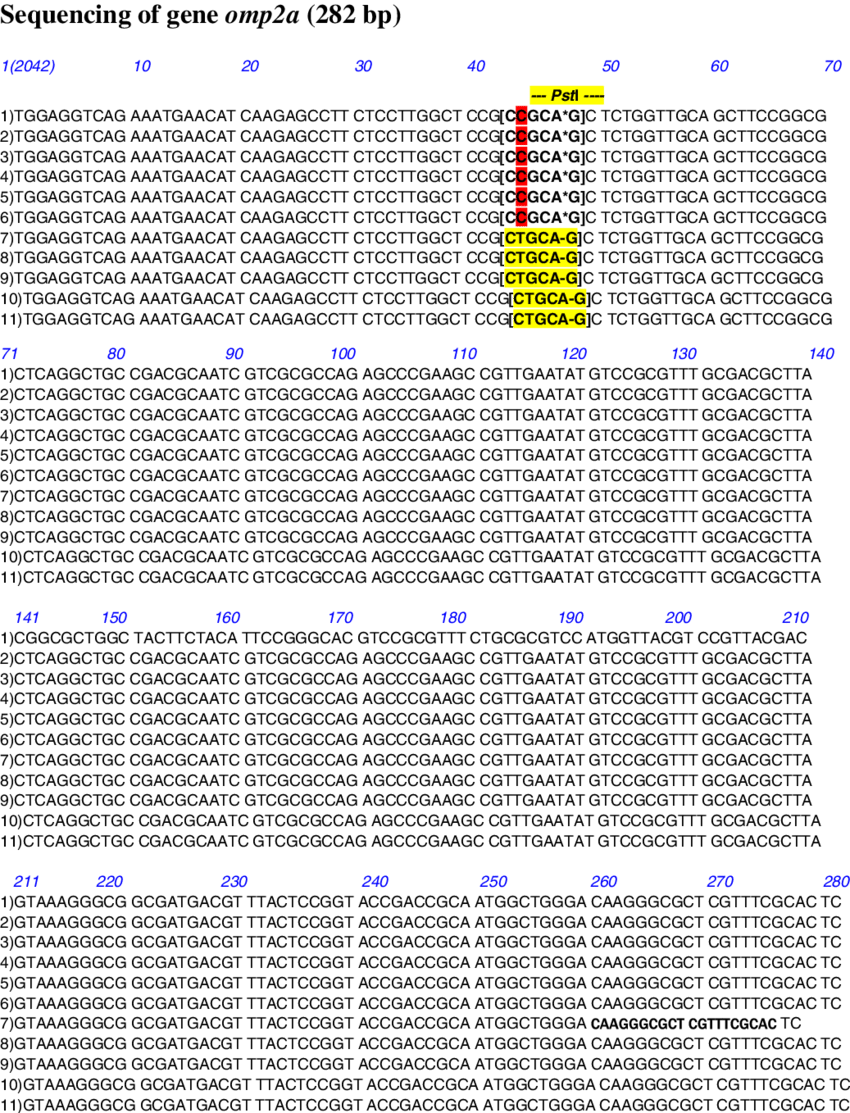 Nucleotide Sequence Of Omp2a Gene - Gene (850x1113), Png Download