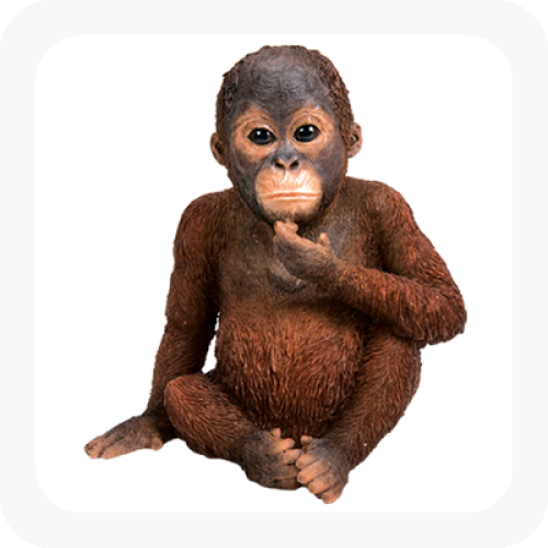More Views - Vivid Arts Orangutan (500x500), Png Download
