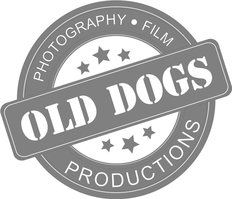 Old Dogs Productions Old Dogs Full Production Service - Sold (800x800), Png Download