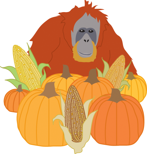 Artist In Residence - Orangutan (498x521), Png Download