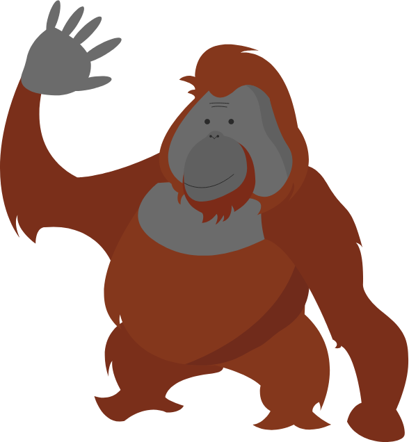 Orangutan Facts - - Cartoon (588x636), Png Download