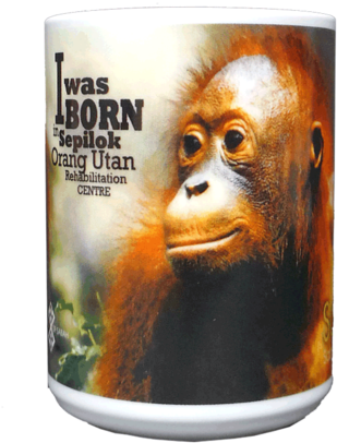 Dishwasher Safe & Microwave Safe - Orangutan (360x480), Png Download