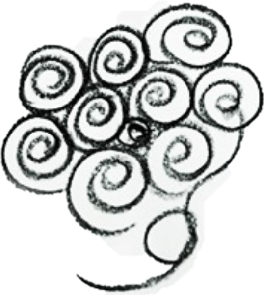 Drawing (538x601), Png Download