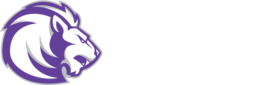 Eastside High School - Eastside High School Lancaster Ca Logo (864x292), Png Download
