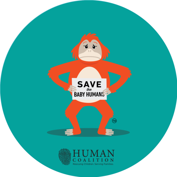 Orangutan Sticker - Orangutan (600x600), Png Download