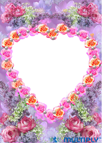 02 Sep 2010 - Garden Roses (357x500), Png Download