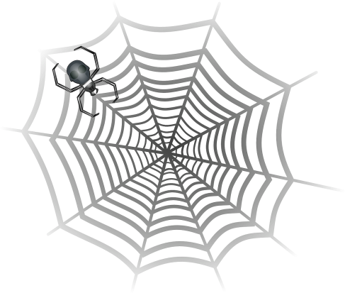 Spider,cobweb,spider Web,spider's Web,web,horror,fright, - Gray Spider In Web (500x433), Png Download