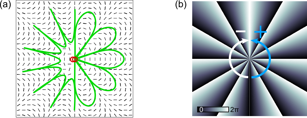 Vectorial Hybrid Structure Of Flower And Spider Web - Graphic Design (987x379), Png Download