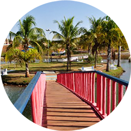 Goemil Palmeiras De Goiás - Cidade Palmeiras De Goiás (460x459), Png Download