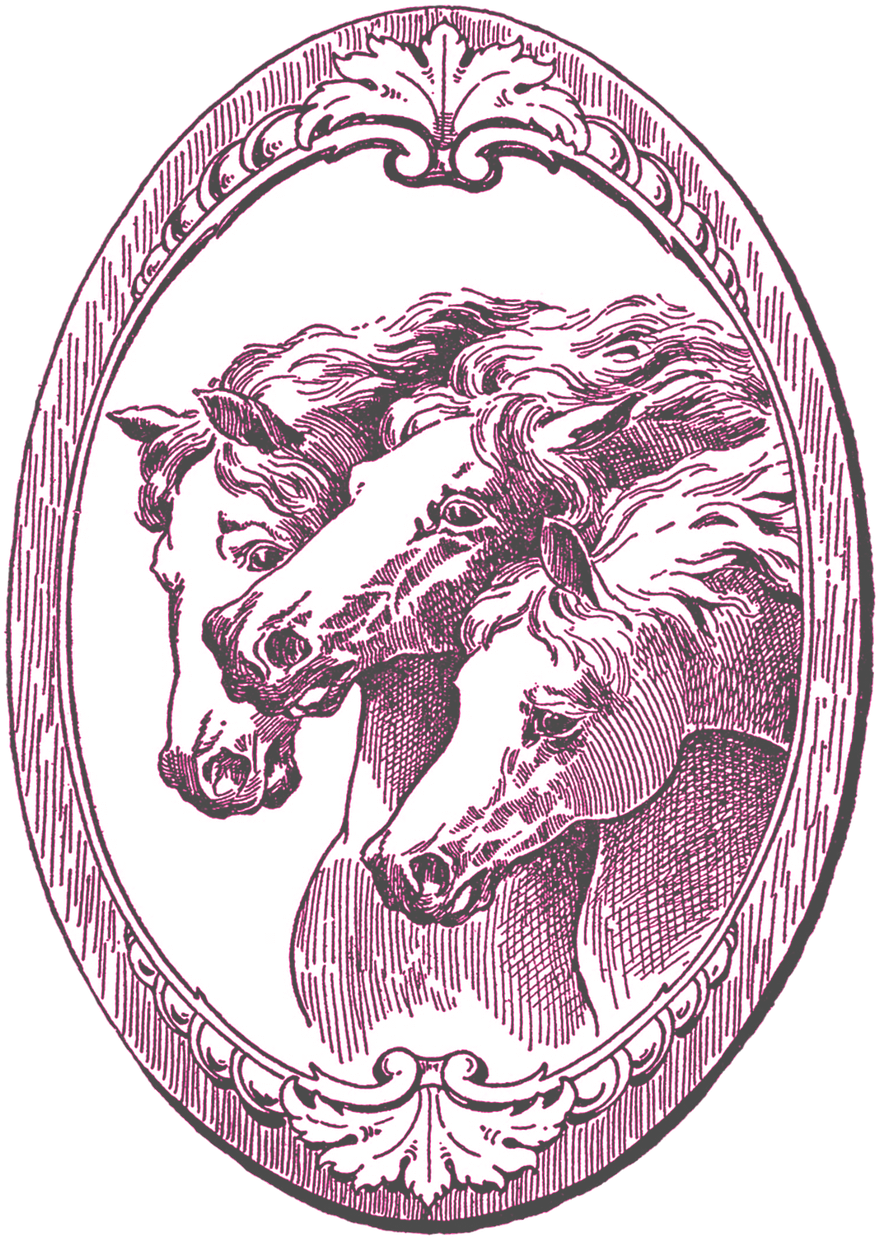 Vintage Horse Illustration (905x1280), Png Download