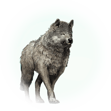 Icon - Серый Волк (360x360), Png Download