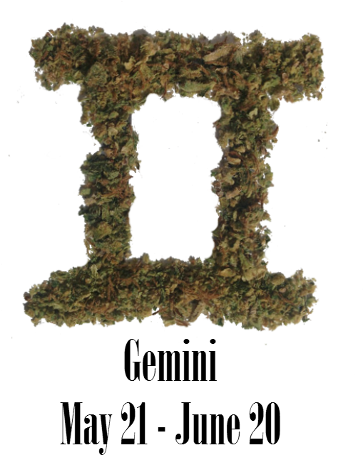 Stoner Gemini Monthly Horoscope - Cannabis (525x709), Png Download