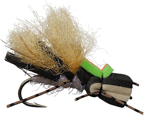 Insect (555x741), Png Download