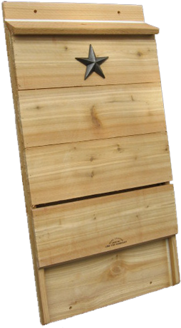 Limited Edition - Bat (500x500), Png Download