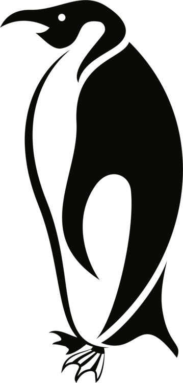 Penguin Flightless Bird Logo Wing - Penguin (359x750), Png Download