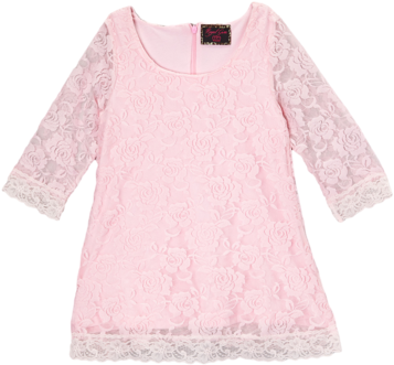 Light Pink Lace Overlay Girls Dress - Dress (400x480), Png Download