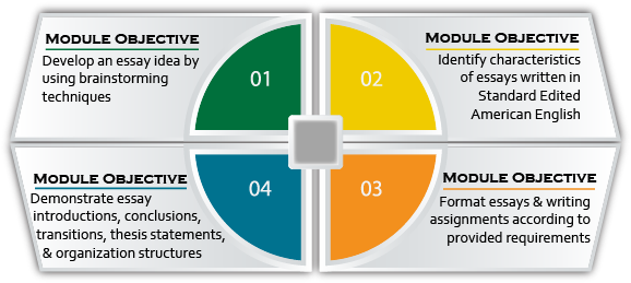 Develop An Essay Idea By Using Brainstorming Techniques - Essay (592x270), Png Download