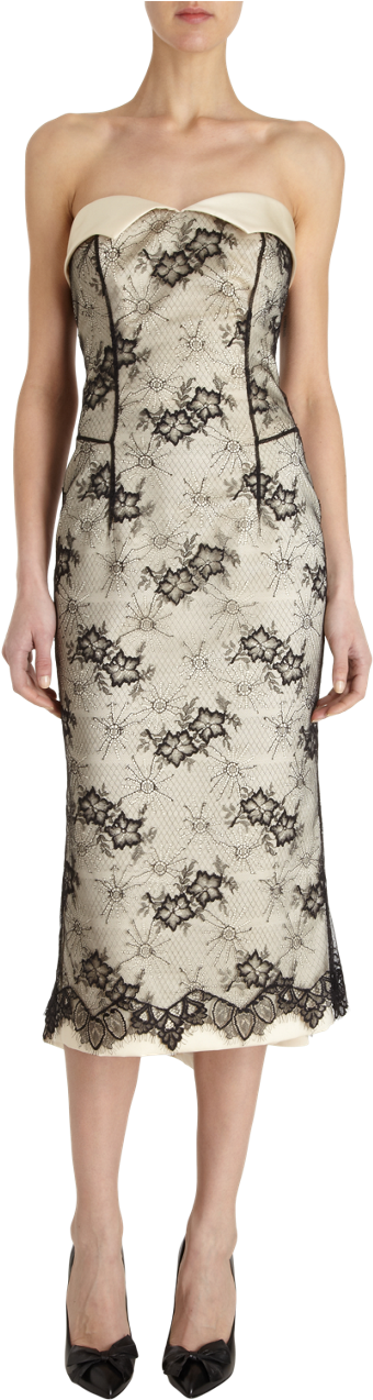 L'wren Scott Lace Overlay Strapless Dress - Sales (509x1272), Png Download