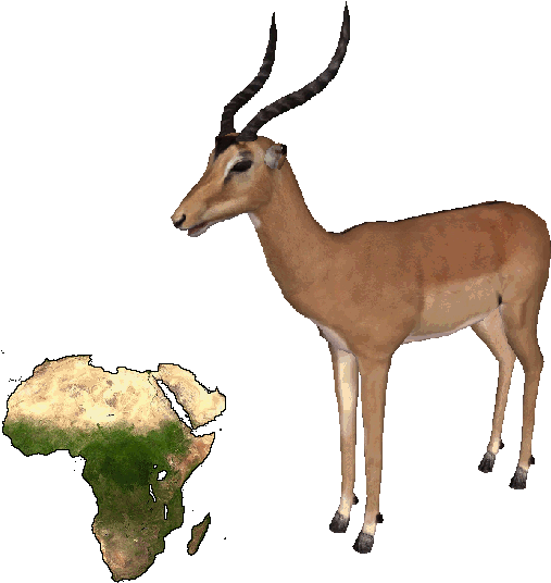 Impala - Religion Is A Coping Mechanism (535x535), Png Download