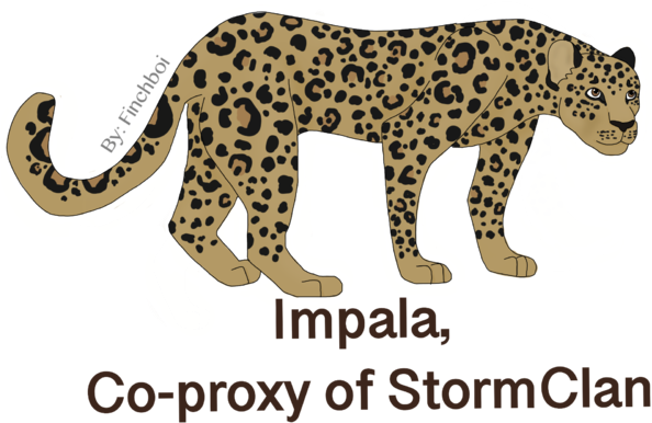 Impala, Co-proxy Of Sc (640x480), Png Download