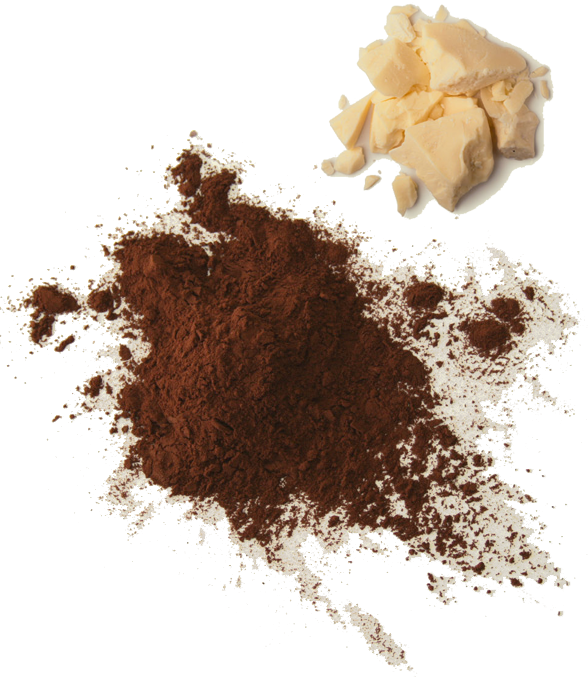 Cocoa Butter - Transparent Cocoa Powder Png (588x677), Png Download