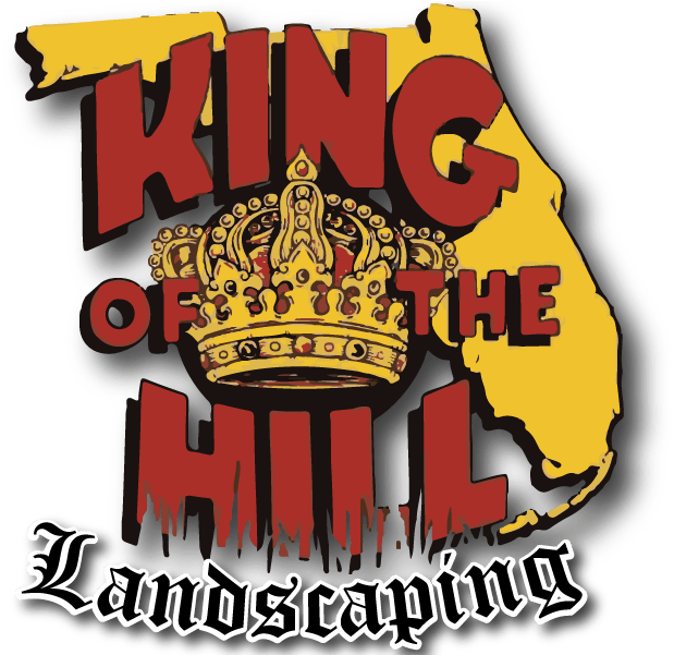 King Of The Hill - Logo (800x600), Png Download