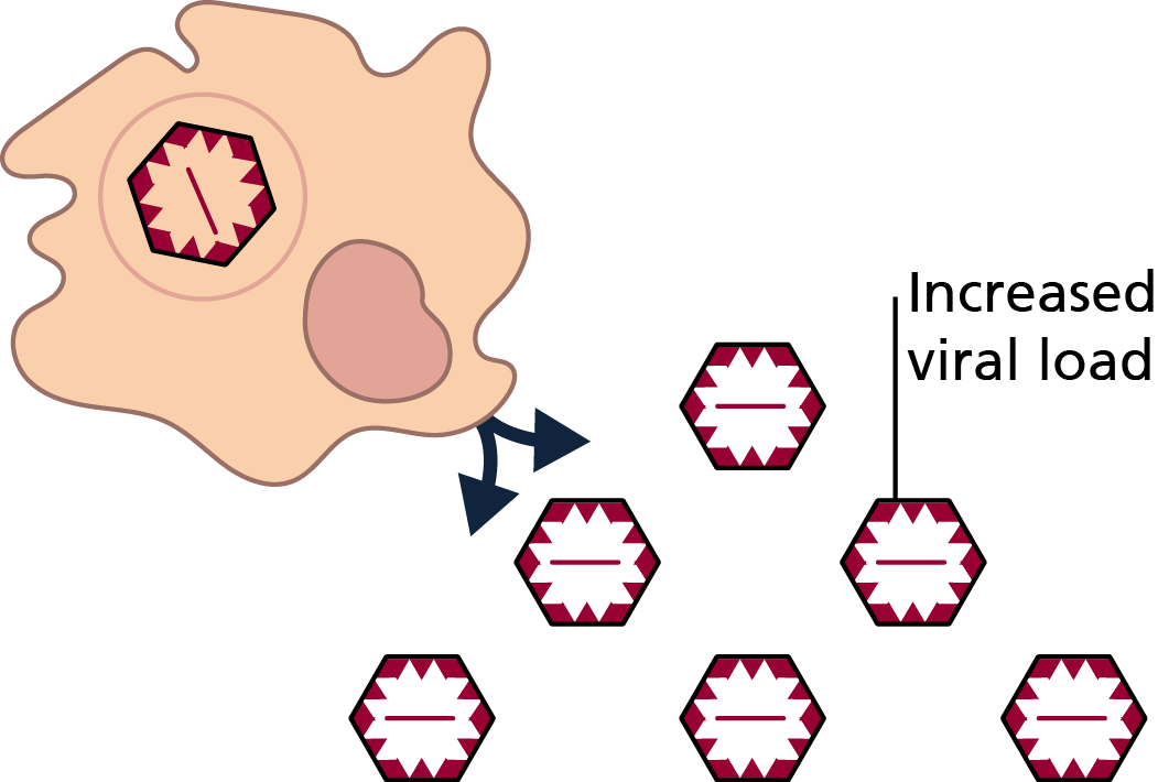 21 Pm 1411361 Den Imp 1/15/2016 (1051x710), Png Download