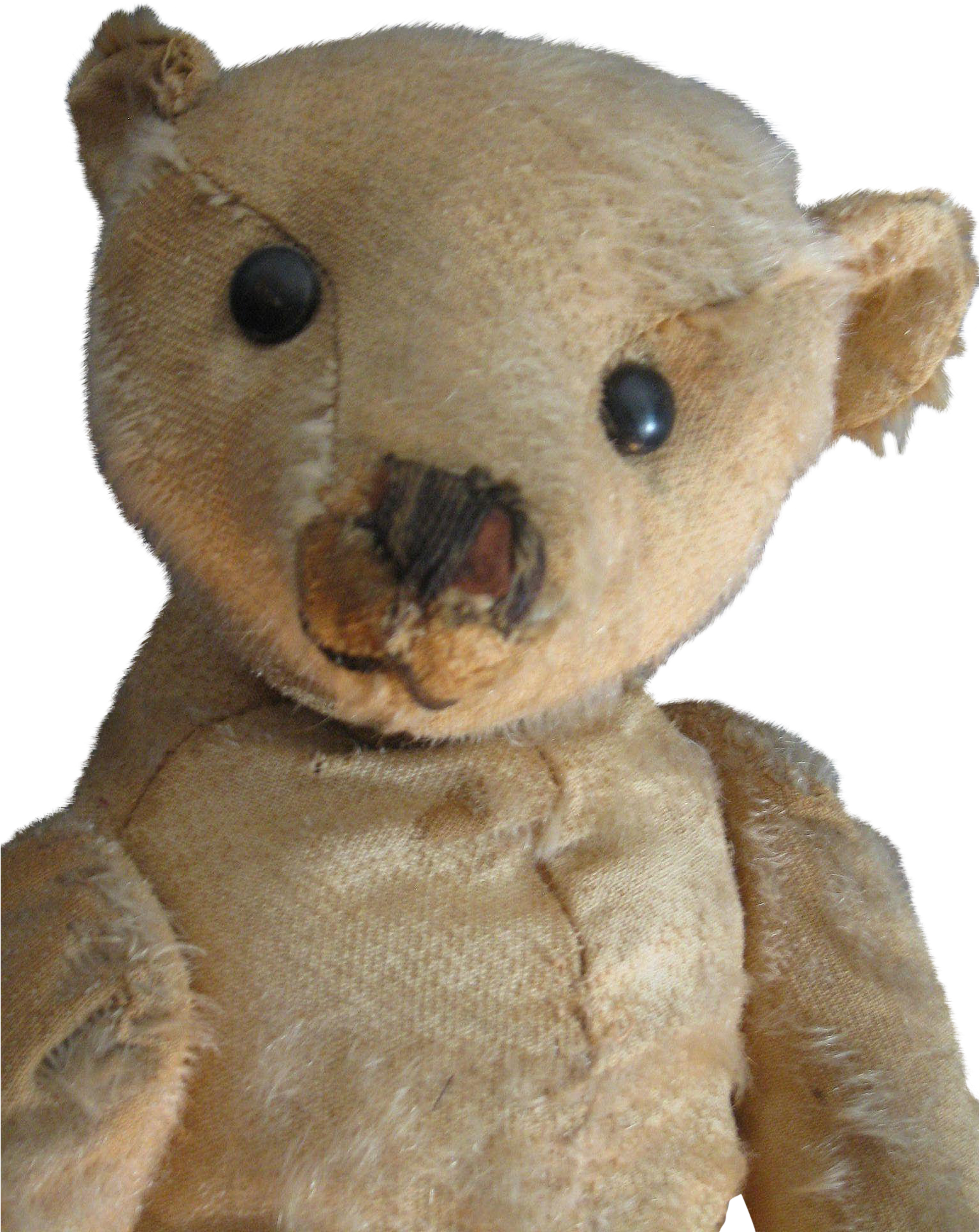 Antique 16 Beige Steiff Bear, Blank Button, Loved - Teddy Bear (1932x1932), Png Download