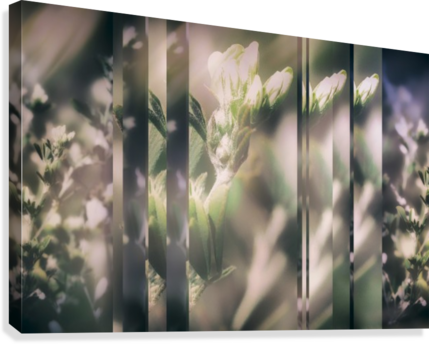 Wild Grass Collage Canvas Print - Artist (429x344), Png Download