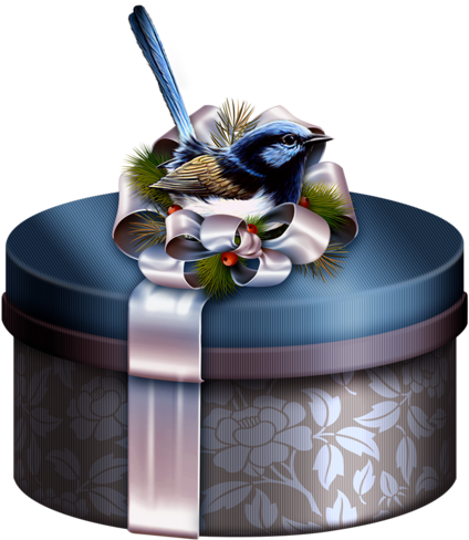 Gift 7 - صور عيد ميلاد (442x500), Png Download