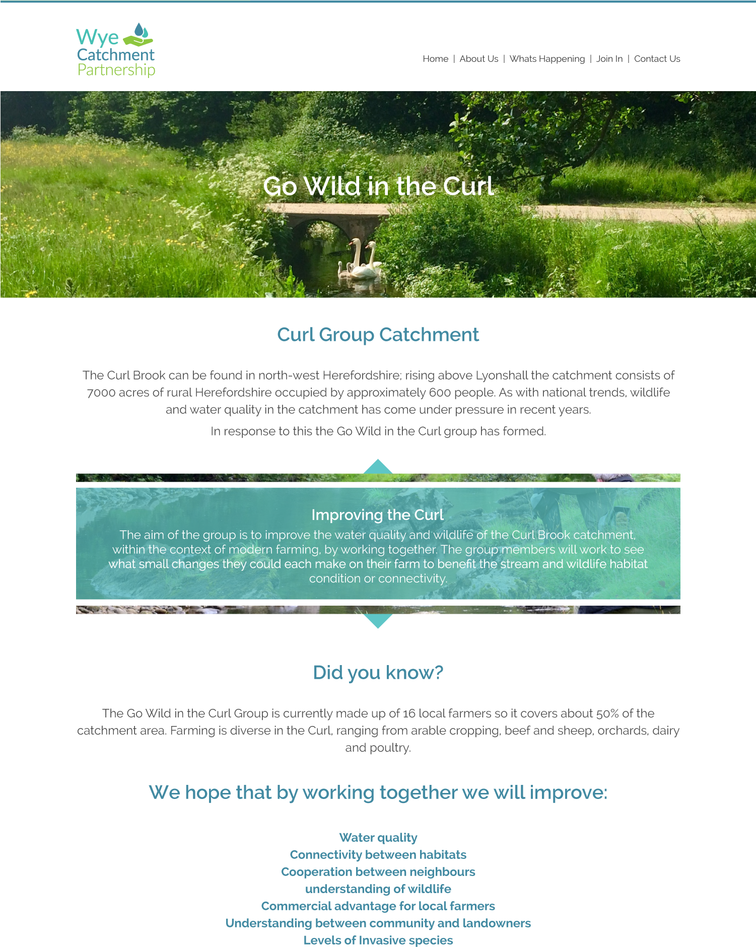 Wcp Go Wild In The Curl (1500x1946), Png Download
