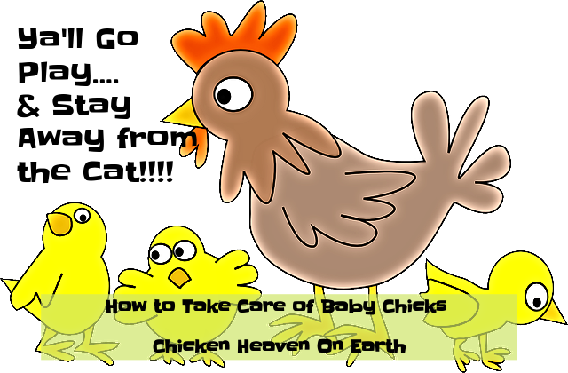 If You Do Not Have A Mother Hen To Hatch And Raise - Infant (640x420), Png Download