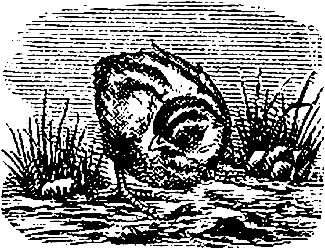 Carolyn Iott On Twitter - Illustration (1200x942), Png Download