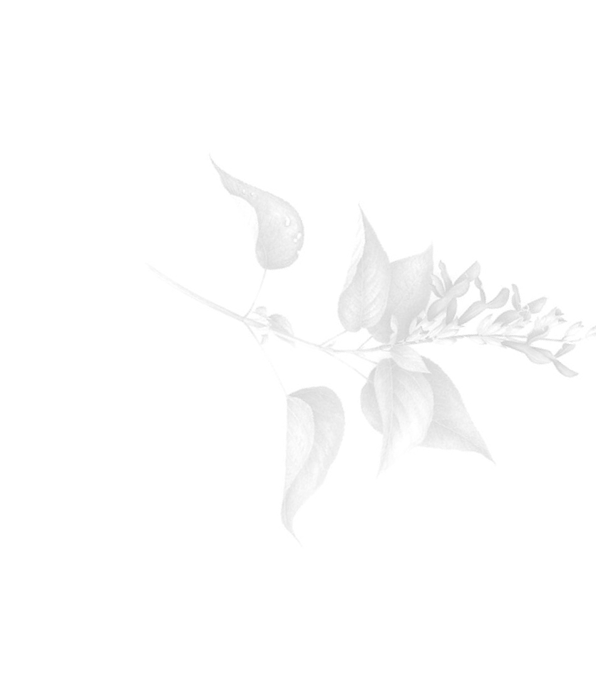 Push10 Enliven Push10 Enliven Modernize - Illustration (836x953), Png Download