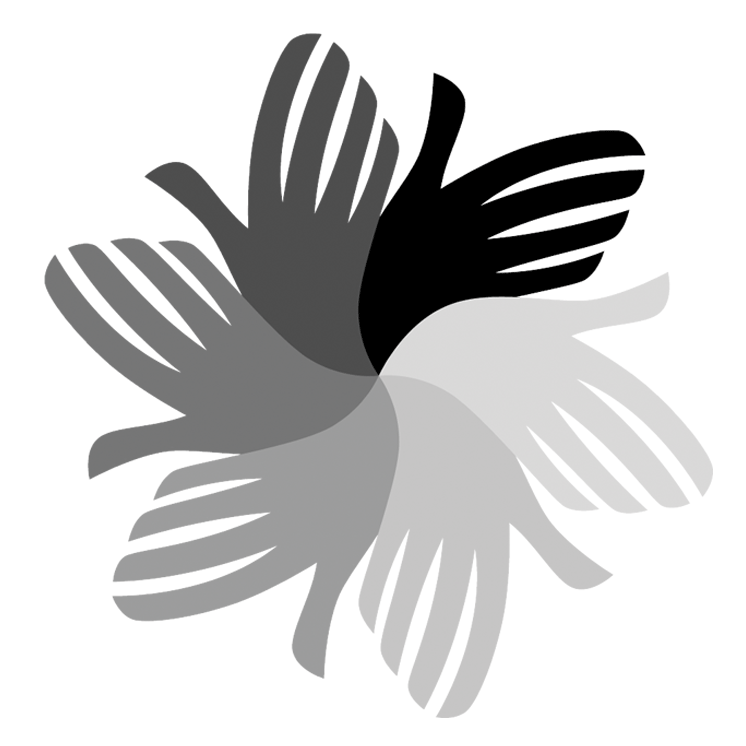 Plant Color Icon - Icon (771x775), Png Download