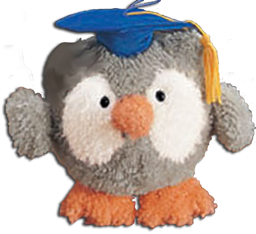 Gund Graduation Musical Plush Gray Owl Wearing Blue - Graduation Ceremony (818x748), Png Download
