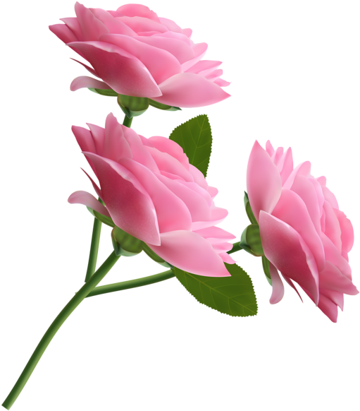 Pink Rose Clipart Transparent Png - Flower Icons (526x600), Png Download