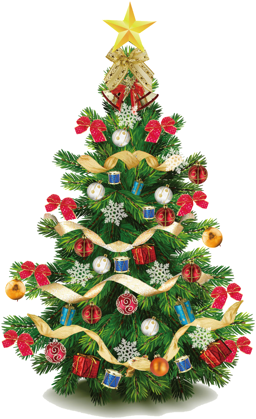 Venus Christmas Tree Christmas Png - Arbol De Navidad Png (1024x1498), Png Download