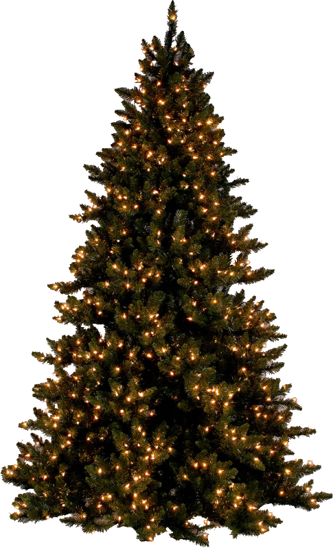 You Should Post 'reserved' And Then Edit The Image - Dominik Hauser - Christmas Carol:christmas At The Cine (485x799), Png Download