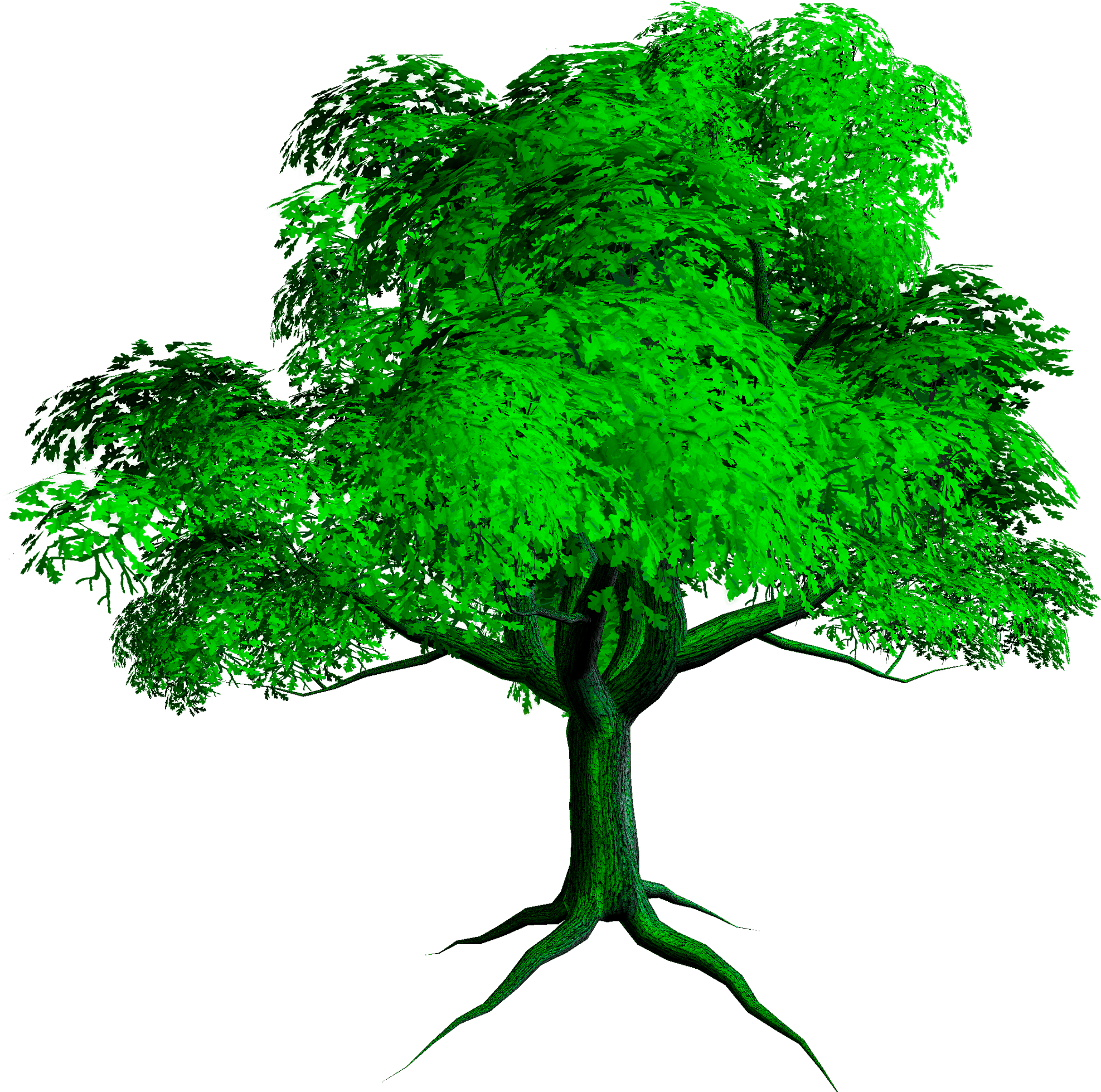 New Tree Png - Tree Full Hd Png (2680x2117), Png Download